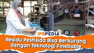 IPB Pedia: Teknologi Plasma Finebuble untuk Mengurangi Residu Pestisida pada Produk Hortikultura