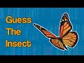 Guess The Insect-Kids Storytime Read Aloud