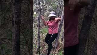 Narcisse Snake Dens Manitoba .. #trending #comedy #funny #snake #snakebite