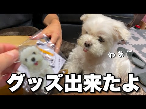 【期間限定販売】愛犬の可愛いグッズがついに完成しました!!