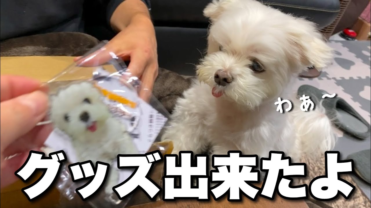 激レア　ハローキティ　世界　子犬のお散歩　マルタ　マルチーズ　チャーム キーホルダー・アクリルキーホルダー