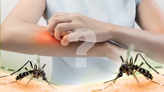 Why Mosquitoes Bite You More Than Everyone Else
