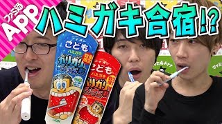 【毎日動画】ガリガリ君の歯磨き粉を使ってスターズに歯を磨いてもらってみた