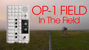 The Touring Musician