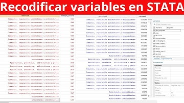 Recodificar variables de texto a numéricas en STATA.
