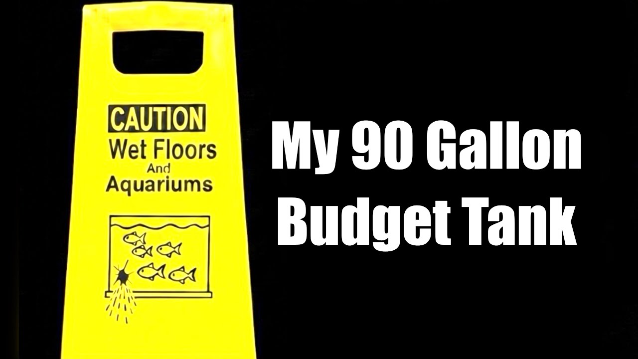 My $40 - 90 Gallon Aquarium Story