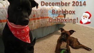 December 2014 Barkbox Unboxing!!