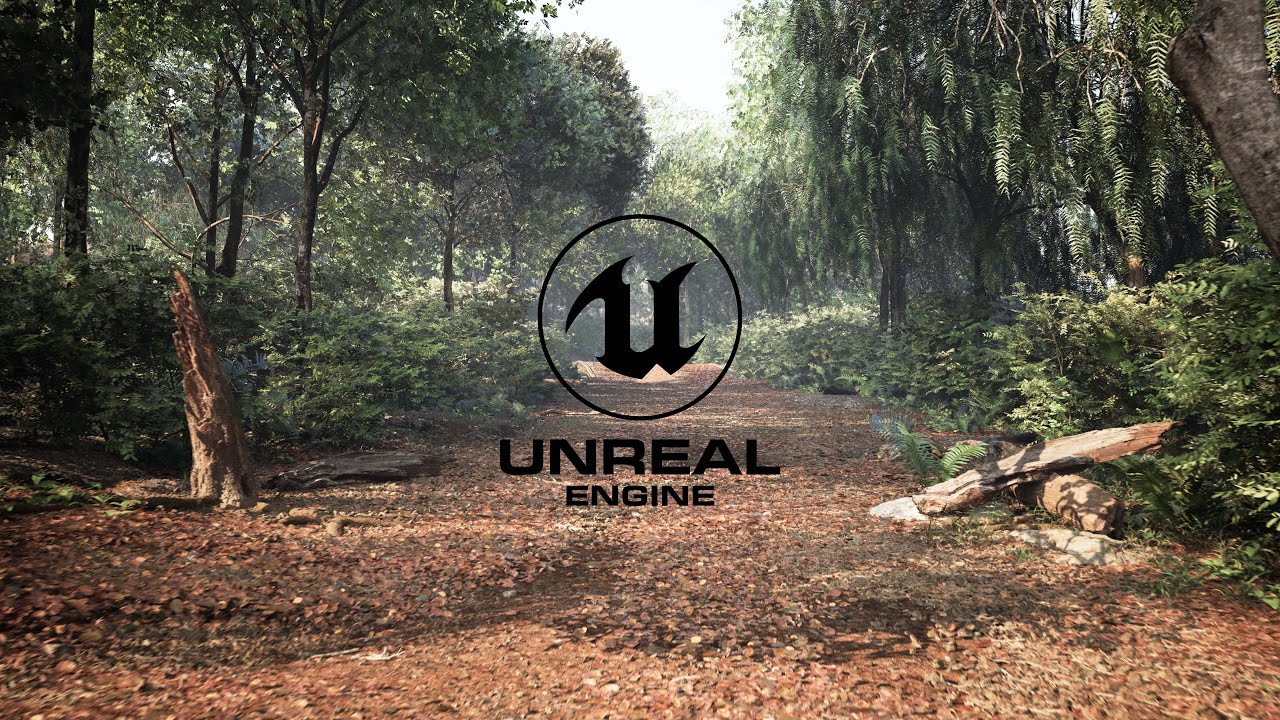 Oakleaf Forest With photorealistic Lighting (4k)- Unreal Engine 5 - YouTube