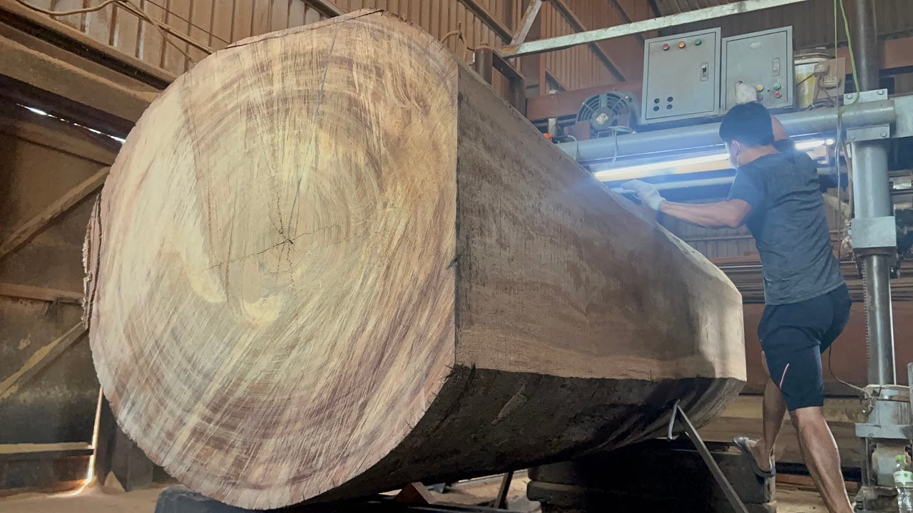 Extreme Wood Cutting Sawmill Machines - Techniques for Working With ...