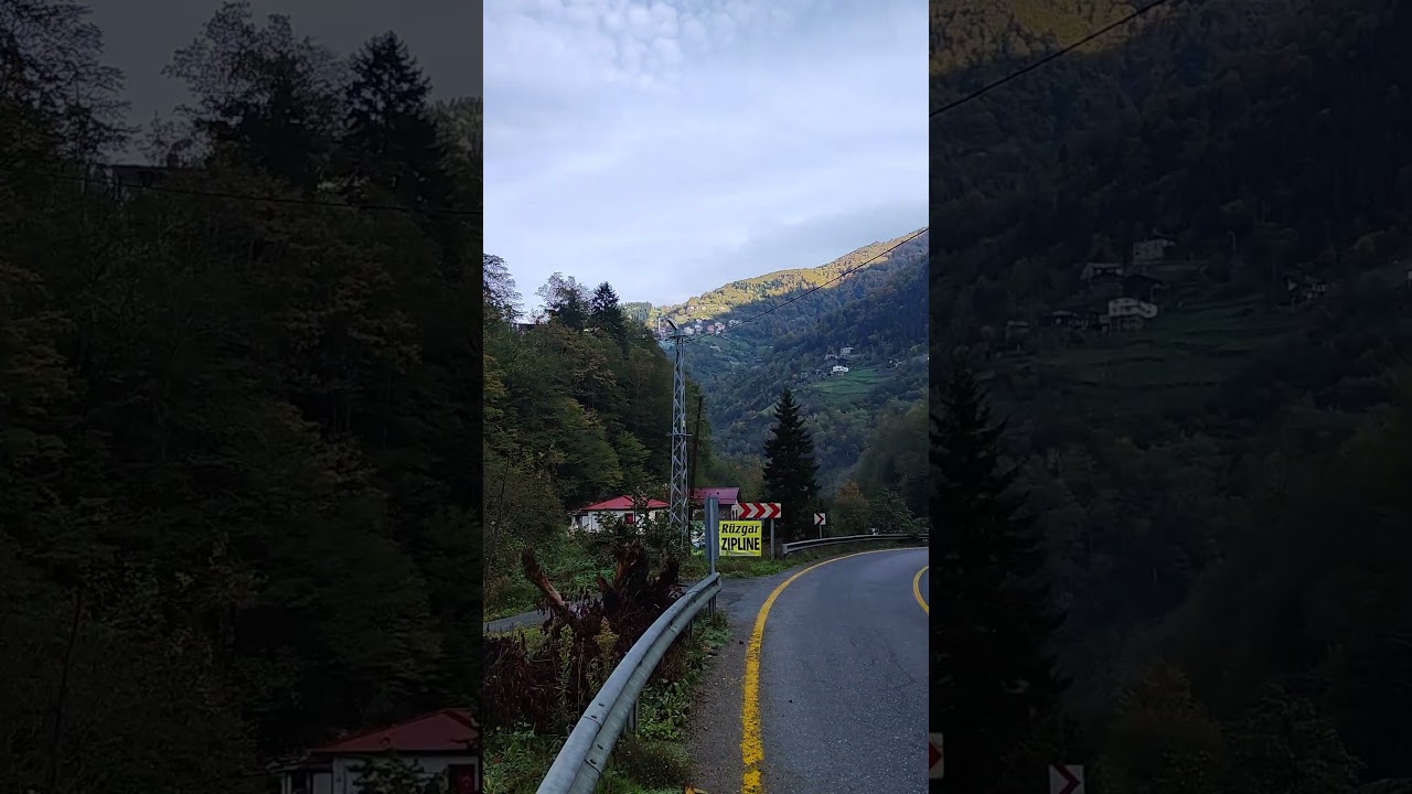 22 декабря 2025 г.