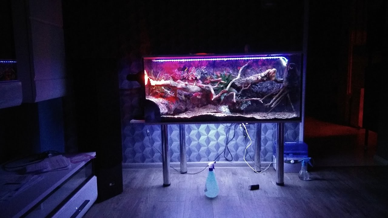 boardgamegeek terrarium EPICRATES CENCHRIA CENCHRIA terrarium boa tęczowy brazylijski terrarium boa