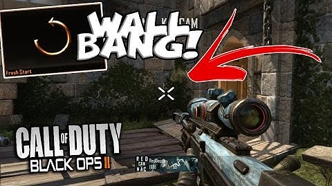 I HIT A SICK WALLBANG TRICKSHOT.. SO A FAN RESET HIS STATS! (BO2 TRICKSHOTTING!)