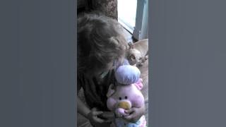 VID_20130504_183537_945.mp4