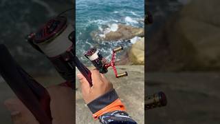 Download Lagu Shimano Sephia limited 2025 #fishing #ตกหมึก #sephia #squidfishing MP3 Download Lagu Shimano Sephia limited 2025 #fishing #ตกหมึก #sephia #squidfishing MP3