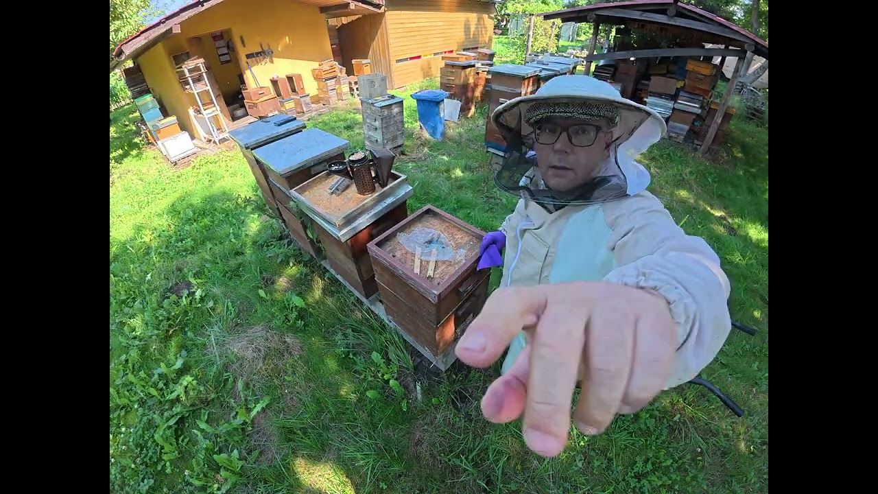 Zapraszam na lipcowe miodobranie!