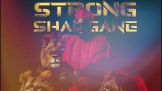 Mr. Bow - Strong Shangane | Album Completo |