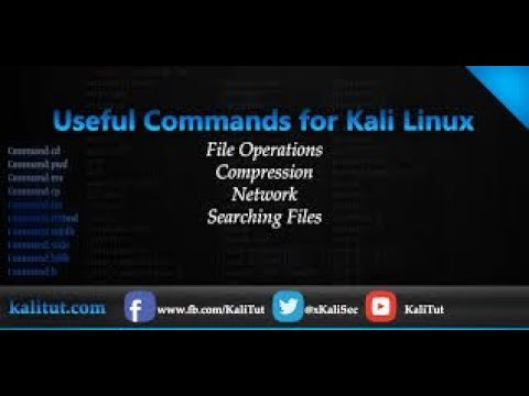 [HINDI] kali linux commands basic to begnairs