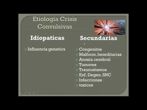 Vídeo: Evidencia Sistémica De Elevación Asociada A Convulsiones Agudas En El Biomarcador De Lesión Neuronal Sérica En Pacientes Con Epilepsia Del Lóbulo Temporal