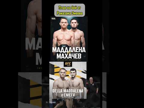 Ислам Махачев против Джека Маддалены. План от Рамазана Эмеева. #ufc