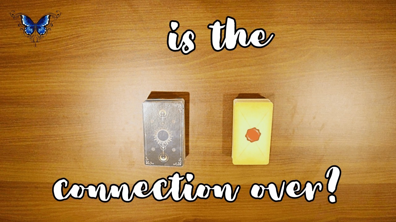 ❤️‍🔥❤️‍🩹 *NO CONTACT* IS THE CONNECTION OVER? 😍🥰 Timeless Tarot Reading 🔮💫