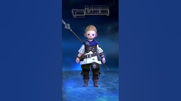 Final Fantasy XIV: Starter Classes