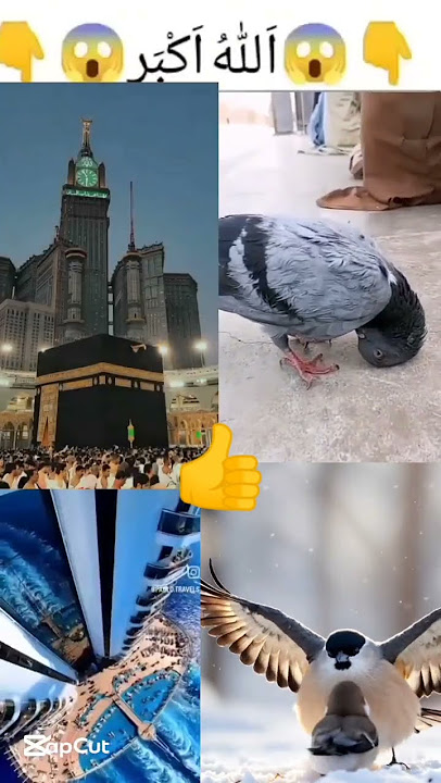 https://youtu.be/TayxMOTmp3A?si=9K6iIfP9esxCL-ah