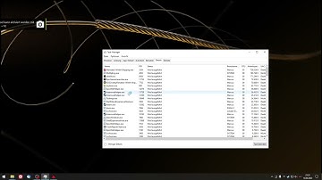 Maneater UE4 crash fix