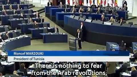 Plenary zapping - February 2013