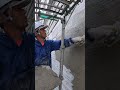 毎日コツコツ🇯🇵 #ゲーテハウス #plaster #mortal #japan