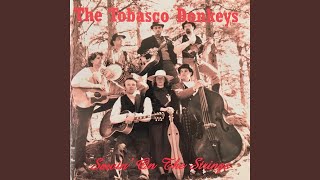 Video thumbnail of "The Tobasco Donkeys - I Don't Mind"