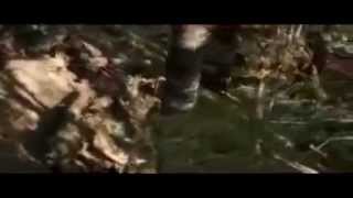 Examples of sacrifice in movies