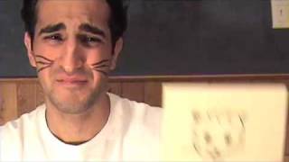 Spaghetti cat - Music video