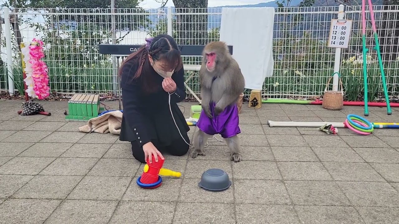 ２０２５年１月１２日　まい先生と掛川金太郎君　IN熱海城