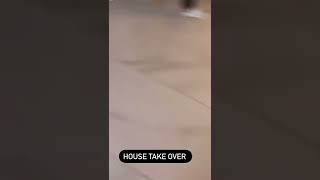 Celebrity Imade and Ifeanyi Adeleke chilling with their Dad, Davido #Shorts Profile