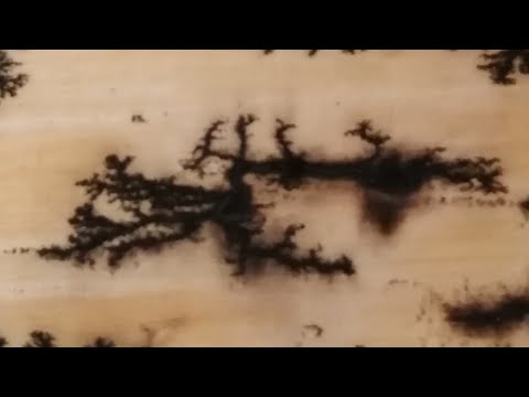 Video: Cum arzi boabele de lemn cu electricitate?