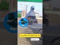 بيتشونا ماكينا العاب ماب السرقه فورتنايت