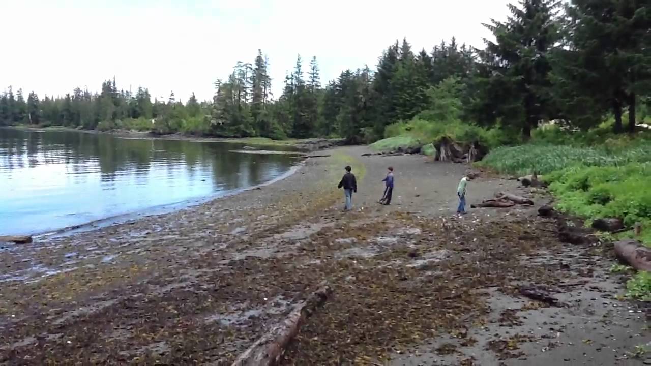 Beach near Coffman Cove, Alaska YouTube