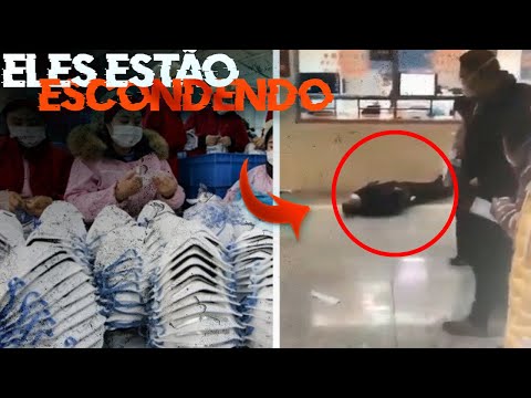10 COISAS QUE ESTÃO ESCONDENDO DE VOCÊ SOBRE O CORONAVIRUS