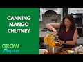 Mango Chutney Sweet Spicy The Perfect Condiment 