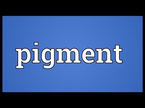 Pigment Meaning