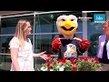 Random Acts of Kindness | Handing Out Flowers
