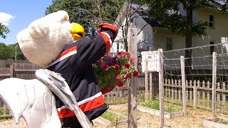 Random Acts of Kindness | Handing Out Flowers