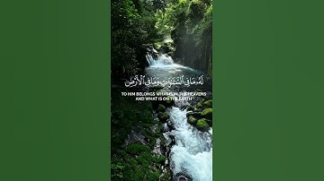 طه... ما أنزلنا عليك القرآن لتشقى | تلاوة خاشعة تريح القلب | Qurani