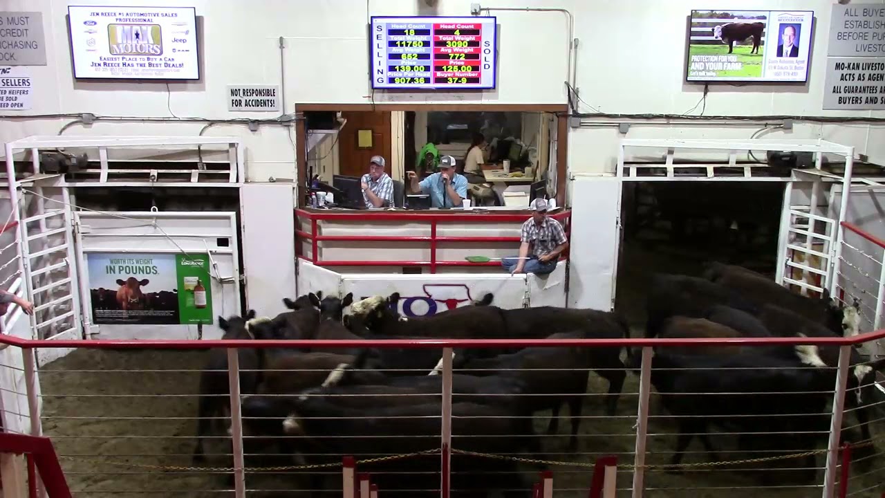 6-10-21 BWF Heifers 18 hd. 652 lbs. @ $139.00  Thank You Ron Harleman