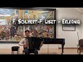 Ф. Шуберт - Ф. Лист. Лесной царь / F. Schubert - F. Liszt. Erlkönig
