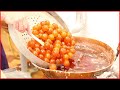 Amazing Candied Fruit Making | Food Processing