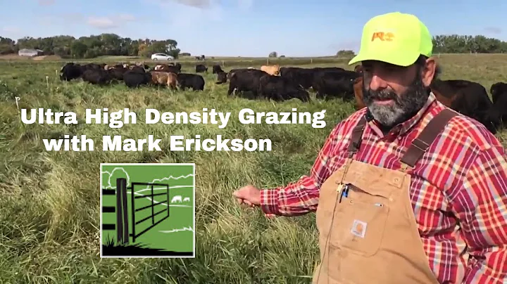 Ultra High Density Grazing (Mob Grazing) with Mark...
