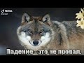 ЦИТАТЫ ВОЛКА | ДО СЛЁЗ | БЕЗУМНО МОЖНО БЫТЬ ПЕРВЫМ | АУФ