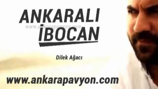 Ankaralı İbocan    Dilek Ağacı Resimi