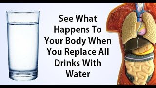 What Happens To Your Body When You Replace All The Drinks With Water